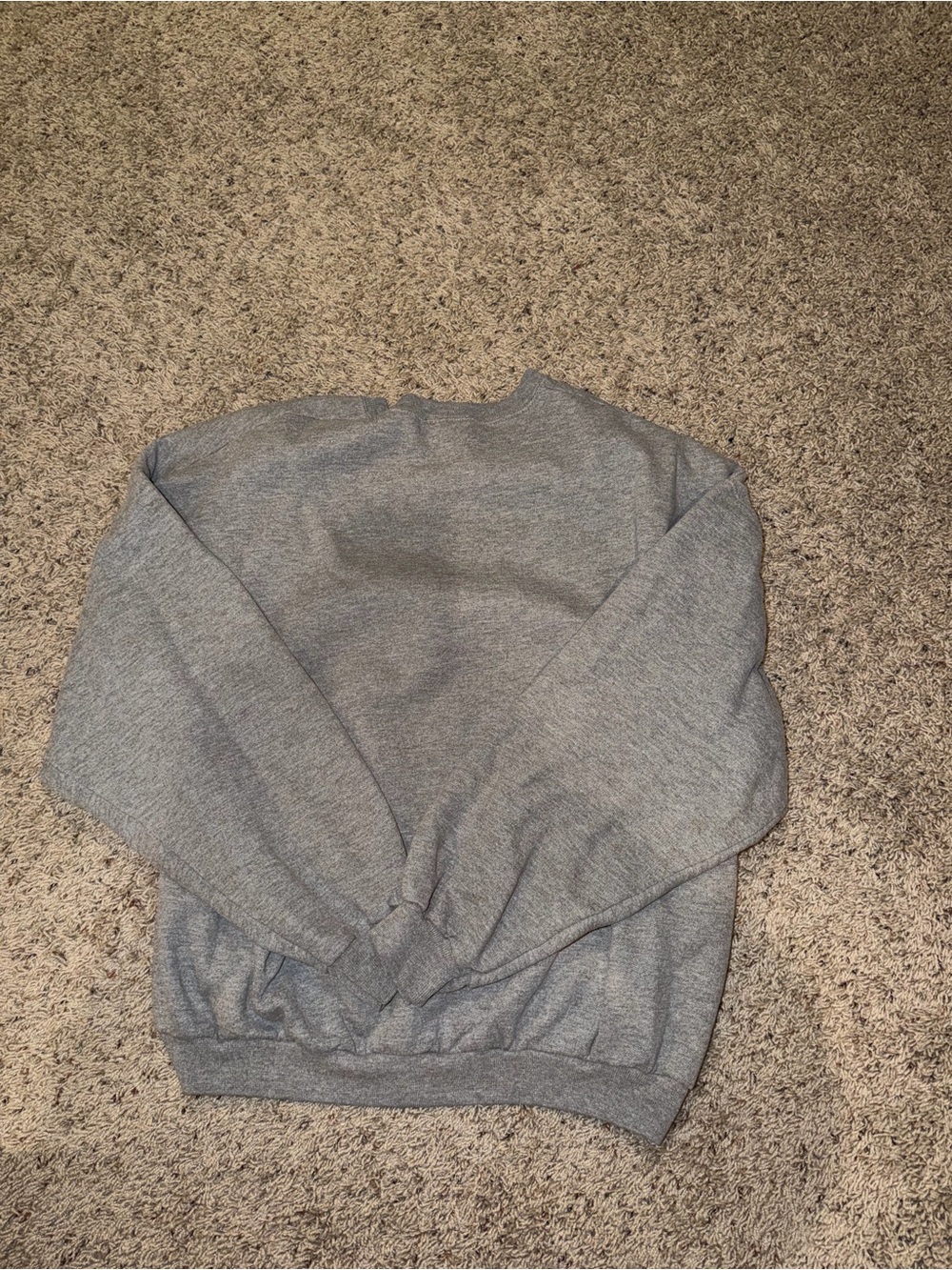 Disney Animal Kingdom Gray Graphic Crewneck Sweatshirt - Picture 3 of 3